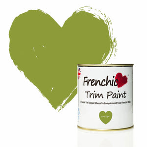 Lime Light Trim Paint -500ml